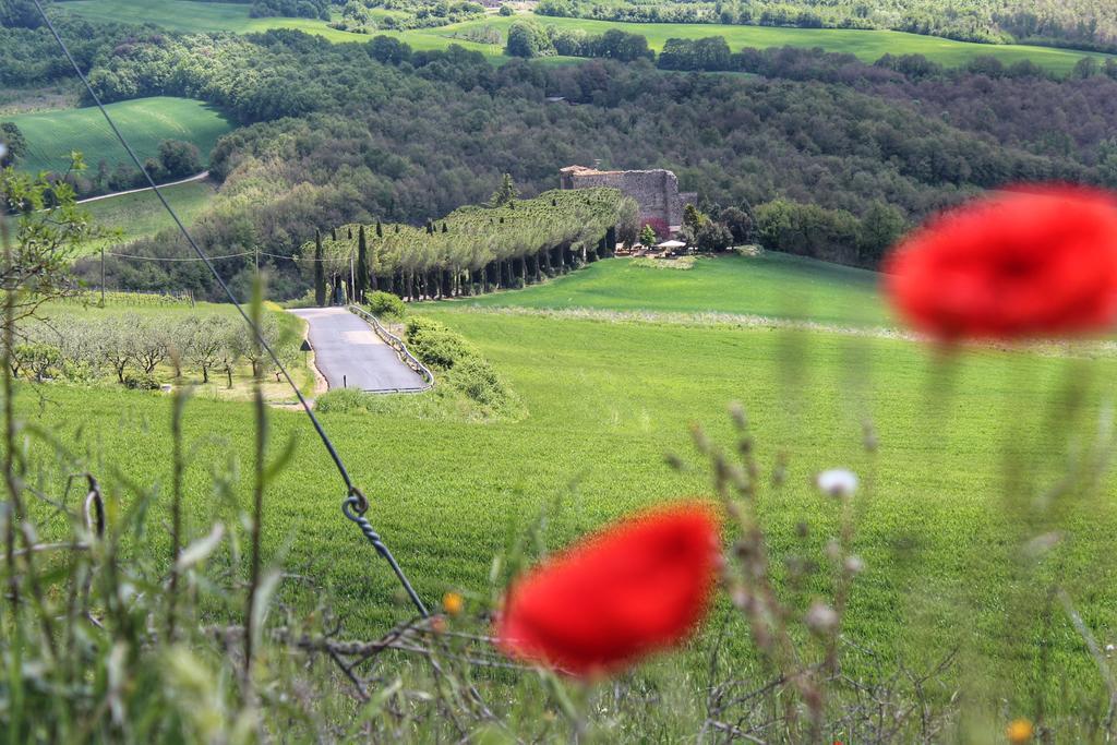 Agriturismo Castello Di Belforte Todi Buitenkant foto